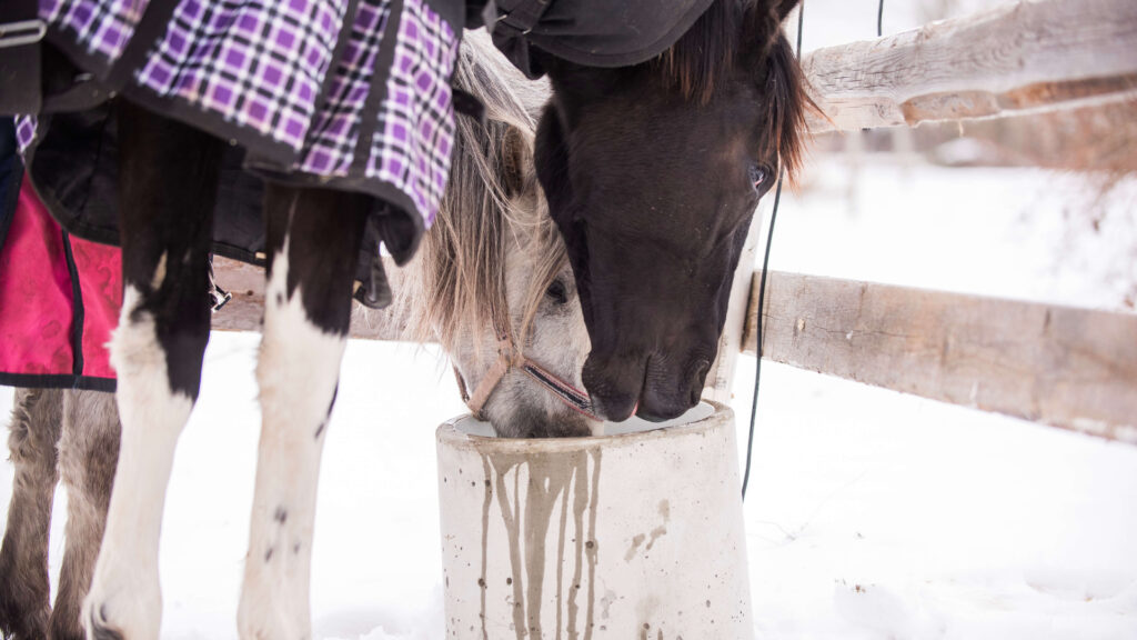tee itse lämmitettävä juoma-astia