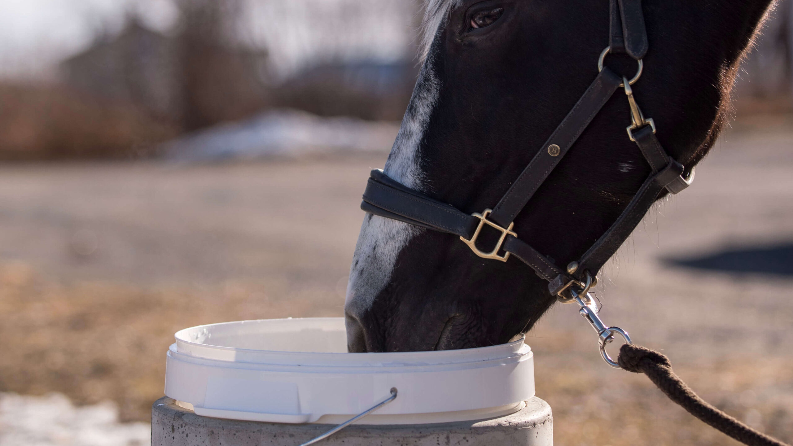 Lämmitettävä juoma-astia hevoselle