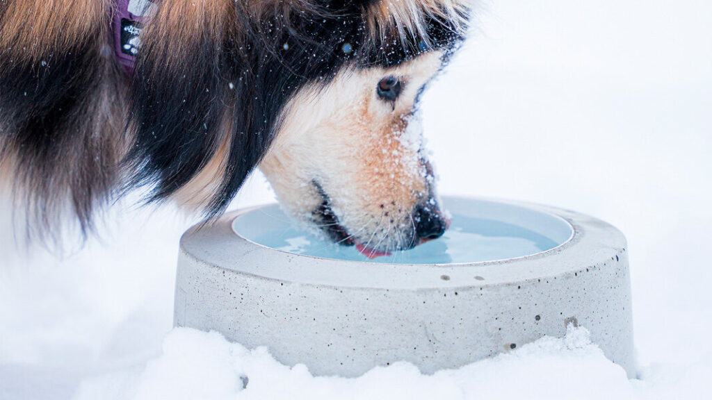 Paras lämmitettävä juomakuppi